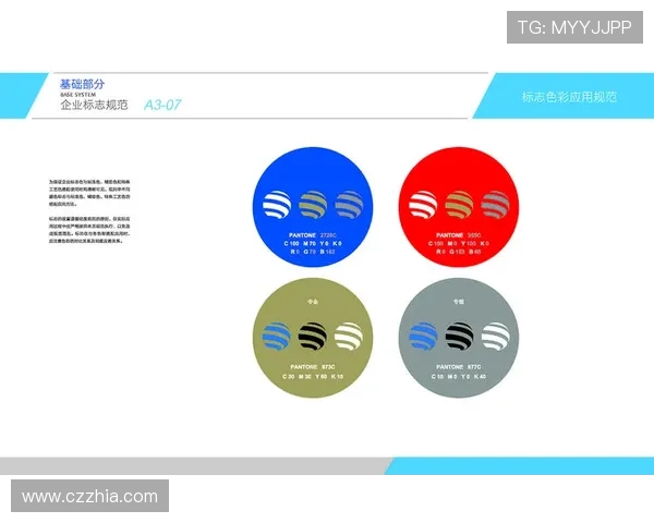 官方授权标识的重要性与应用规范解析